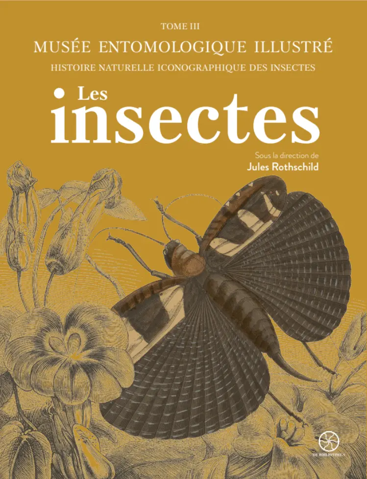 Musée entomologique illustré (Tome 3)